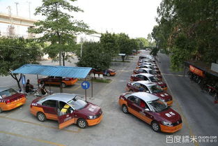 安培机动车驾驶员培训店狮岭分店全攻略 电话地址、营业时间、价格评价及优惠信息汇总